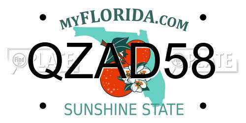 QZAD58 Florida License Plate