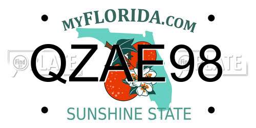QZAE98 Florida License Plate