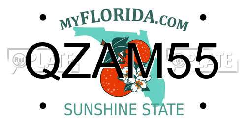 QZAM55 Florida License Plate