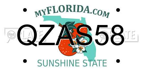 QZAS58 Florida License Plate