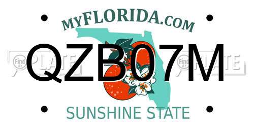 QZB07M Florida License Plate