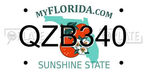 QZB340 Florida License Plate