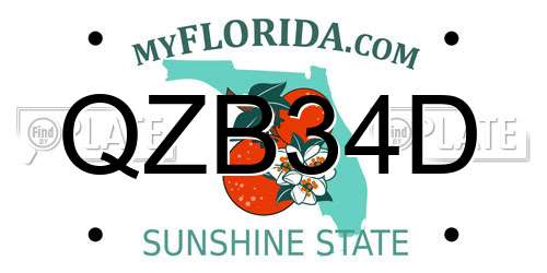 QZB34D Florida License Plate