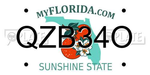 QZB34O Florida License Plate