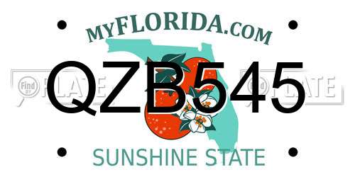 QZB545 Florida License Plate