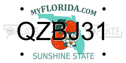 QZBJ31 Florida License Plate