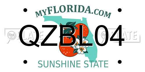QZBL04 Florida License Plate