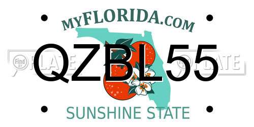 QZBL55 Florida License Plate
