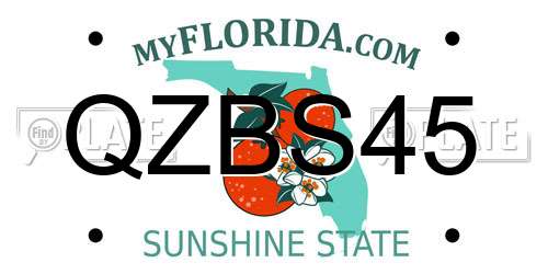 QZBS45 Florida License Plate