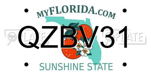 QZBV31 Florida License Plate