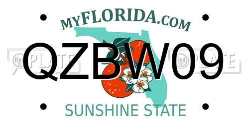 QZBW09 Florida License Plate