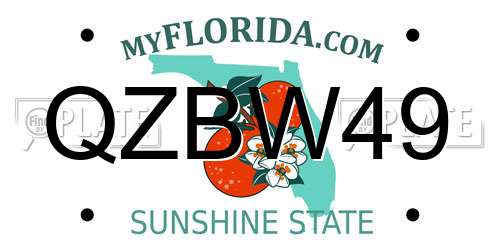 QZBW49 Florida License Plate