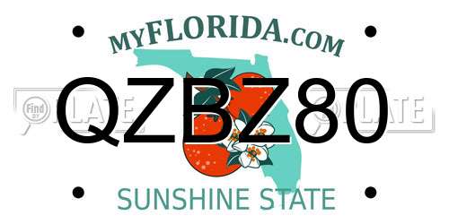 QZBZ80 Florida License Plate