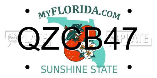 QZCB47 Florida License Plate