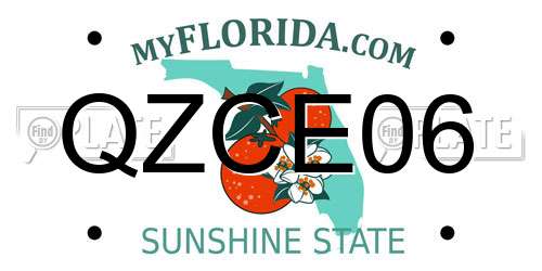 QZCE06 Florida License Plate
