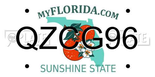 QZCG96 Florida License Plate
