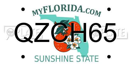 QZCH65 Florida License Plate