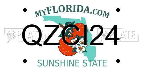 QZCI24 Florida License Plate