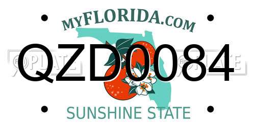 QZD0084 Florida License Plate