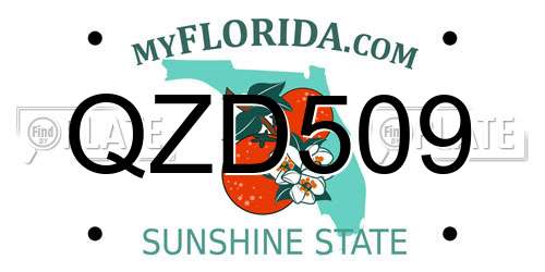 QZD509 Florida License Plate