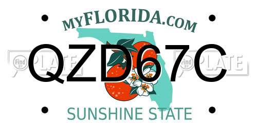 QZD67C Florida License Plate
