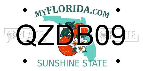 QZDB09 Florida License Plate