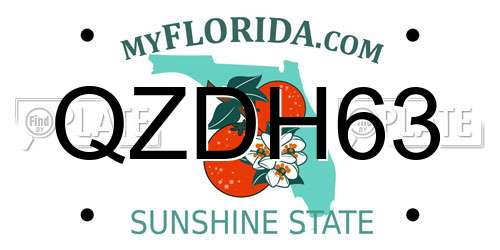 QZDH63 Florida License Plate