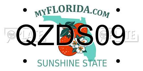 QZDS09 Florida License Plate