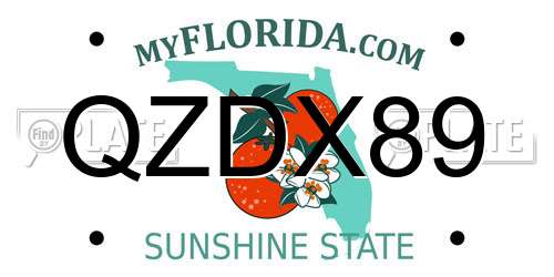 QZDX89 Florida License Plate