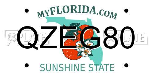 QZEG80 Florida License Plate