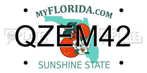 QZEM42 Florida License Plate