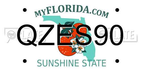 QZES90 Florida License Plate