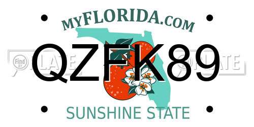 QZFK89 Florida License Plate