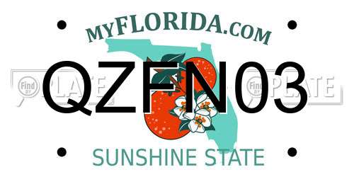 QZFN03 Florida License Plate
