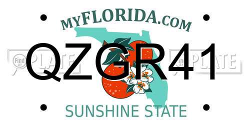QZGR41 Florida License Plate