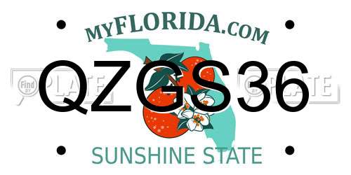 QZGS36 Florida License Plate