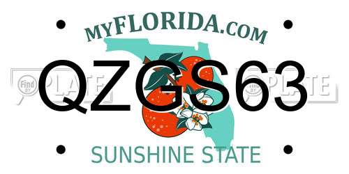 QZGS63 Florida License Plate
