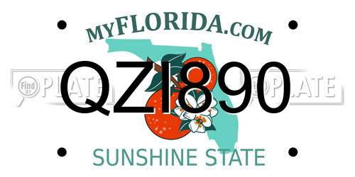QZI890 Florida License Plate