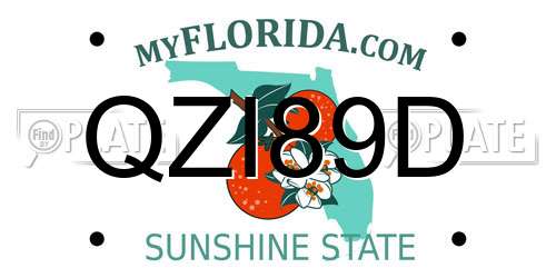 QZI89D Florida License Plate