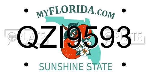 QZI9593 Florida License Plate