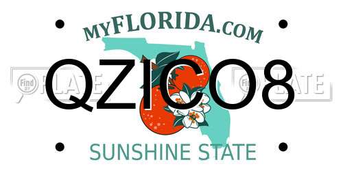 QZICO8 Florida License Plate