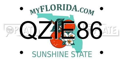 QZIE86 Florida License Plate