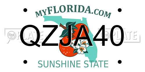 QZJA40 Florida License Plate