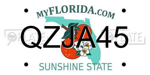 QZJA45 Florida License Plate