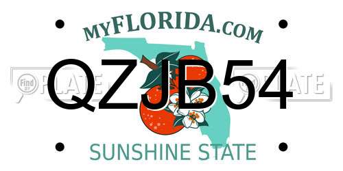 QZJB54 Florida License Plate