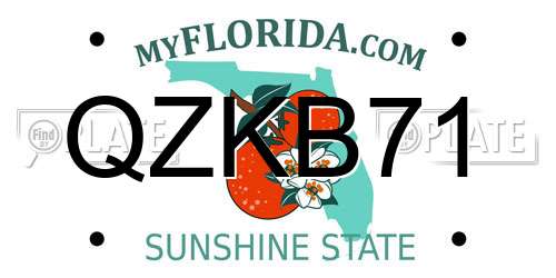 QZKB71 Florida License Plate