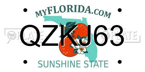 QZKJ63 Florida License Plate