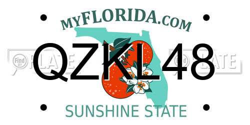 QZKL48 Florida License Plate