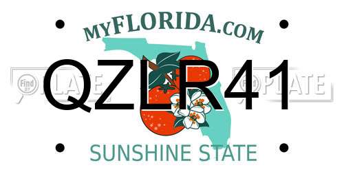 QZLR41 Florida License Plate