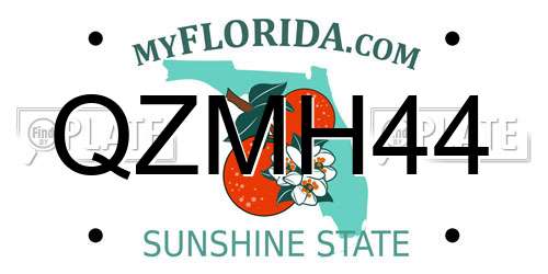 QZMH44 Florida License Plate